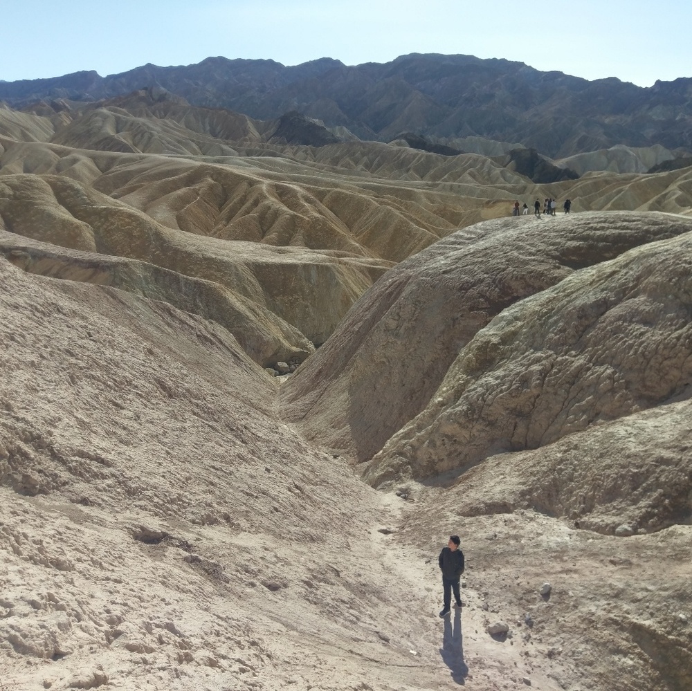 Meet your Posher, Lee